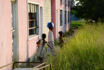 DSC_7997 (Large).JPG